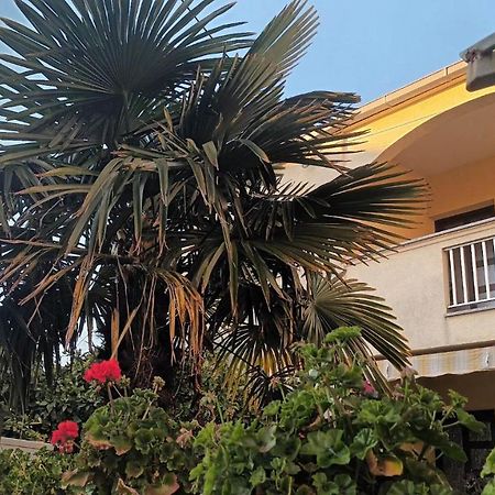 Studio Apartman Casper زادار المظهر الخارجي الصورة